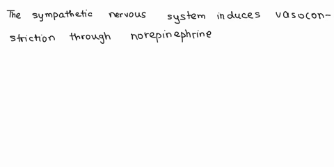 how-do-the-parasympathetic-and-sympathetic-nss-influence-vasoconstriction-and-vasodilation-how-can-epinephrine-cause-vasoconstriction-and-vasodilation-hint-think-receptors-where-does-vasocon-28924