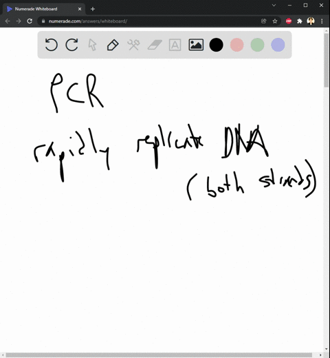 1-what-can-pcr-polymerase-chain-reaction-be-used-for-a-dna-fingerprinting-b-all-of-the-above-c-detection-of-microorganisms-d-diagnosis-of-hereditary-disease-2-what-pcr-process-releases-dna-m-39845
