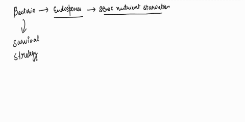question-8-not-all-bacteria-can-form-endospores-when-do-certain-types-of-bacteria-form-endospores-when-they-sense-nutrient-starvation-b-when-they-want-to-reproduce-they-will-always-have-a-sp-93647