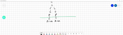 all-of-the-following-stages-are-considered-aerobic-processes-except-a-the-krebs-cycle-b-formation-of-41687