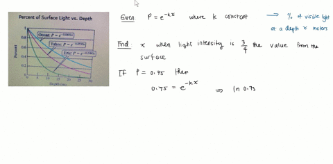 sunlight-is-absorbed-in-water-and-as-result-the-light-intensity-in-oceans_-lakes-_-and-ponds-decreases-exponentially-with-depth-_-the-percentage-of-visible-light-p-in-decimal-form-at-depth-o-97303