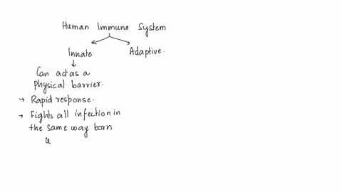 the-non-specific-overall-immune-response-that-is-found-in-most-animal-types-invertebrate-and-vertebrate-select-one-a-cell-mediated-immunity-b-complement-c-barrier-defense-d-innate-immunity-e-13225