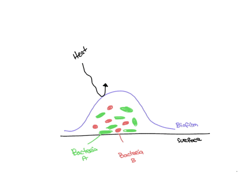 what-are-advantages-to-microbes-of-biofilm-growth-85078
