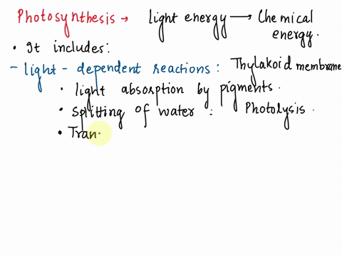 describe-the-stages-of-photosynthesis-use-the-terms-thylakoid-light-dependent-reactions-and-light-independent-reactions-64917