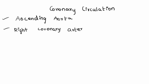 trace-a-drop-of-blood-from-the-ascending-aorta-to-the-right-coronary-artery-and-trace-the-blood-back-into-the-heart-again-ascending-aorta-coronary-sinus-middle-cardiac-vein-posterior-interve-97333