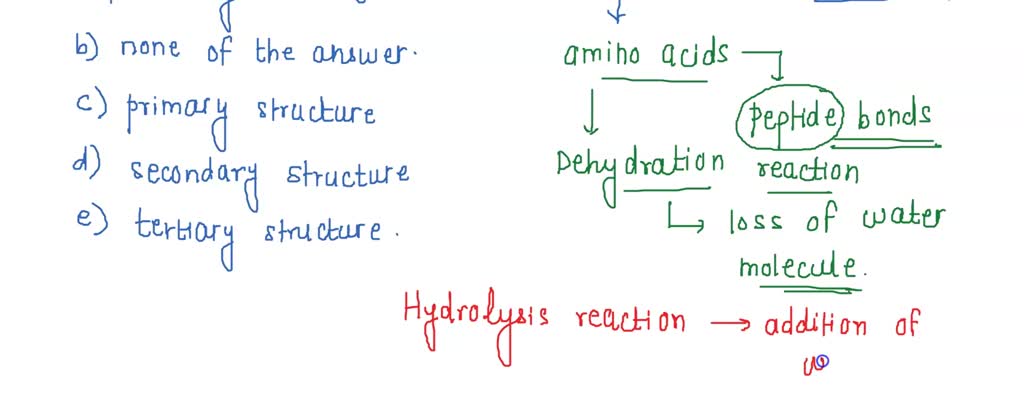 SOLVED: You disrupt all peptide bonds in a protein: What level of