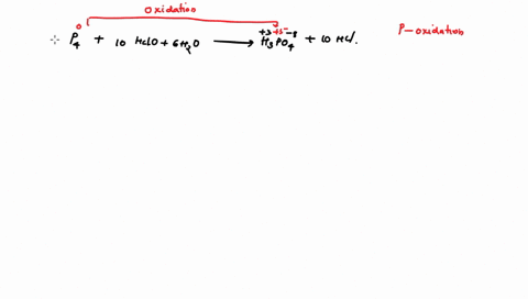 for-the-following-oxidation-reduction-reaction-indicate-which-element-has-been-reduced-and-which-has-been-oxidized-p4s-10-hclo-aq-6-h2ol-4h3po4-aq-10-hcl-aq-2-write-a-balanced-ionic-and-net-14926