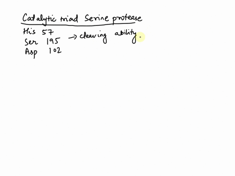 5-diagrau-the-catalytic-triad-of-serine-proteases-and-indicate-h-binding-note-drawing-the-side-chains-of-amino-acid-residues-involved-is-sufficient-10-pts-73576