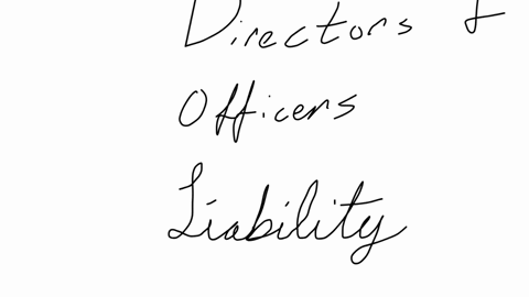 directors-and-officers-liability-provide-coverage-for-a-construction-of-a-new-facility-b-employees-injured-while-in-the-employ-of-the-company-c-damage-to-office-vehicle-d-improperly-operating-the-co-2
