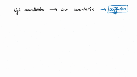 which-process-describes-the-movement-of-molecules-from-areas-of-high-concentration-to-areas-of-low-concentration-osmosis-solution-diffusion-homeostasis-99254