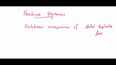what-are-translesion-polymerases-polymerases-that-proofread-dna-prior-to-transcription-polymerases-that-synthesize-long-stretches-of-dna-containing-mismatches-polymerases-that-are-able-to-re-66218