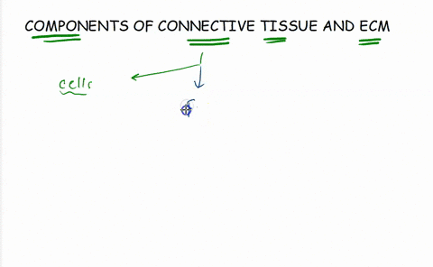 what-is-the-connective-tissue-and-extracellular-matrix-composed-of-a-polysaccharides-b-all-of-these-c-proteoglycans-d-collagen-37914