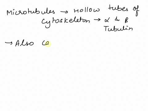 you-are-cell-biologist-interested-in-being-able-to-view-a-whole-cell-and-identify-where-in-the-cell-the-microtubules-are-located-which-form-f-microscopy-is-best-suited-for-this-experiment-se-80701