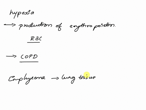 chapter21-obstructiverespiratory-disorders-1what-is-one-way-where-hypoxia-can-be-regulated-in-the-body-hinterythropoietin-2-compare-chronic-bronchitis-copd-and-emphysema-copdhow-will-clinica-35105