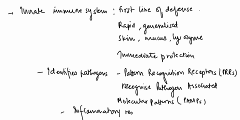 how-does-the-innate-immune-system-work-together-with-the-adaptive-37882