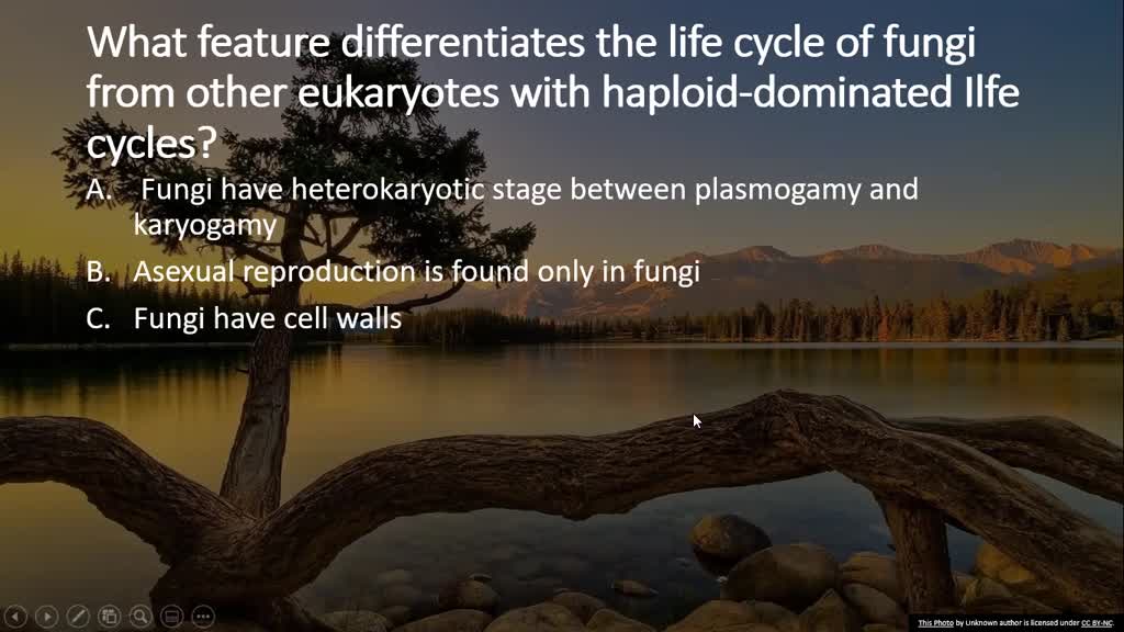 solved-what-feature-differentiates-the-life-cycle-of-fungi-from-other