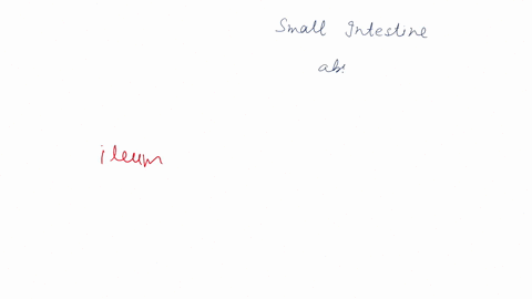 question-6-what-is-the-longest-portion-of-the-small-intestine-pylorus-jejunum-duodenum-fundus-ileum-55024