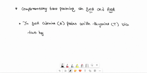 explain-complementary-base-pairing-which-are-purines-and-pyrimidines-and-who-bonds-to-whom-how-many-hydrogen-bonds-form-between-them-17708