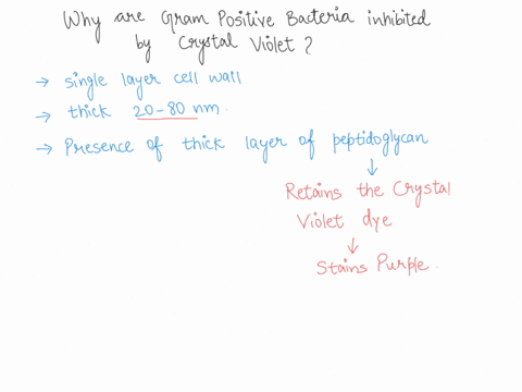1-why-are-gram-positive-bacteria-inhibited-by-crystal-violet-explain-36177