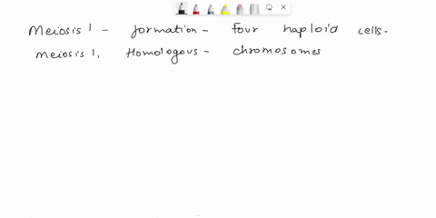 meiosis-i-results-in-the-formation-of-two-diploid-cells-four-diploid-cells-two-haploid-cells-four-haploid-cells-one-quadraploid-cell-64986
