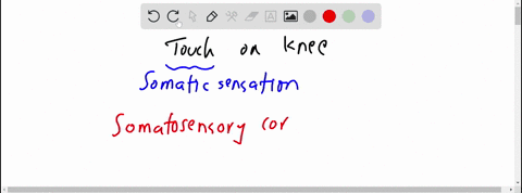 stimulation-at-a-point-on-which-of-the-following-may-cause-a-person-to-report-being-touched-on-the-k-65477