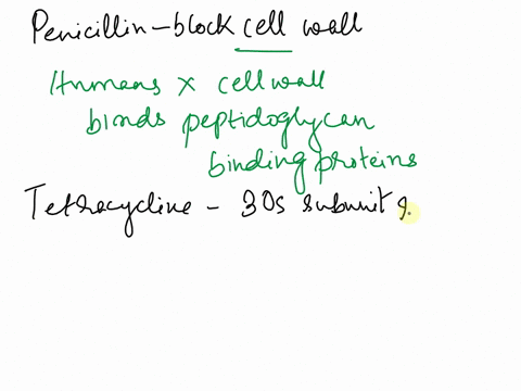 the-discovery-of-the-antibiotic-penicillin-in-the-1920s-made-a-big-impact-on-human-history-not-only-did-it-provide-a-cure-for-bacterial-infections-that-were-once-deadly-but-it-also-led-to-a-67795