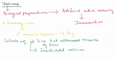 9-vaccines-will-trigger-which-of-the-following-events-in-the-body-group-of-answer-choices-1-weaker-immune-response-to-any-invader-2-production-of-anti-bodies-and-memory-cells-to-recognize-th-79054