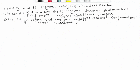 07-question-1point-1st-attempt-label-the-steps-in-this-enzyme-catalyzed-chemical-reaction-enzyme-relurns-to-its-original-shape-induced-nt-occuts-and-enzyme-catalyzes-reaction-substrates-bind-80836