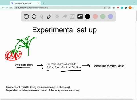 use-the-following-study-to-answer-the-following-questions-a-researcher-applies-varying-amounts-of-fertilizer-0-2-4-8-10-units-to-50-potted-tomato-plants-all-other-variables-that-may-affect-t-26232