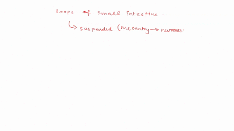 the-loops-of-small-intestine-select-one-have-an-outside-layer-called-the-muscularis-mucosae-are-indirectly-fixed-t0-the-anterior-abdominal-wall-are-wrapped-connective-tissue-which-avascular-97263