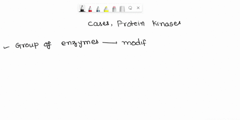 question-3-in-most-cases-protein-kinases-bind-to-cgmp-turn-amino-acids-to-long-protein-chains-hydrolyze-proteins-add-phosphate-groups-to-proteins-50902