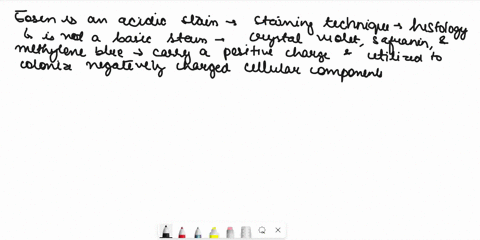 which-of-the-following-is-not-a-common-basic-stain-select-one-a-crystal-violet-b-safranin-c-methylene-blue-d-eosin-which-of-the-following-interpretationsconclusions-would-not-be-from-the-res-64265
