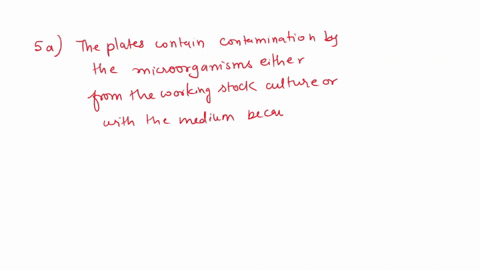 contaminant-yellow-the-known-bacterial-type-3-contaminant-colonies-present-5-both-of-the-streak-plates-shown-above-were-inoculated-with-what-was-presumed-t0-be-pure-culture-obviously-contami-92737