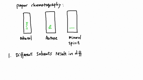 chromatography-results-a-few-things-to-note-which-are-different-fram-the-video-used-paper-towels-not-flter-paper-applied-the-pigments-in-a-mne-not-dot-boh-kdem-muatal-sib-did-the-different-s-23804