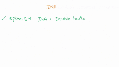 which-statement-best-describes-how-watson-and-cricks-model-used-other-scientists-work-t0-create-model-of-dna-they-used-chargaffs-rule-t0-determine-that-it-contains-ribose-sugar-they-used-fra-26489