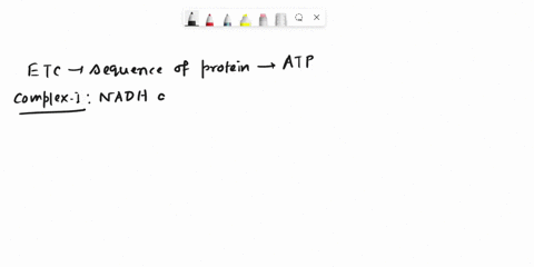 1-electrons-from-nadh-are-donated-to-the-electron-transport-chain-to-produce-the-proton-gradient-that-drives-atp-synthase-in-a-process-called-oxidative-phosphorylation-describe-the-component-19402