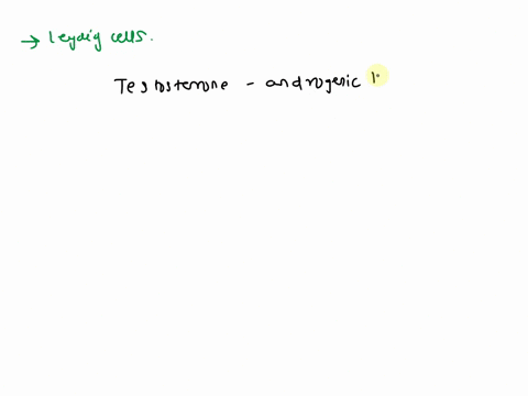 which-cells-produce-male-sex-hormones-25745