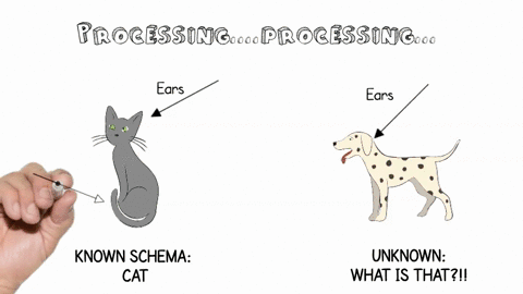 your-friends-baby-brother-matt-loves-to-play-with-his-pet-cat-when-he-sees-a-puppy-he-points-and-cal-40384