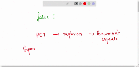 the-proximal-convoluted-tubule-is-the-portion-of-the-nephron-that-attaches-to-the-collecting-duct-true-or-false-17926