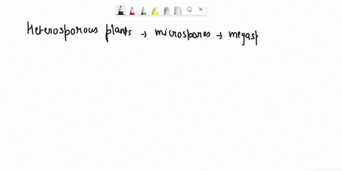 question-3-a-heterosporous-plant-is-different-from-a-homosporous-plant-because-it-reproduces-only-sexually-produces-gametophyte-that-has-both-antheridia-and-archegonia-can-produce-spores-all-61343