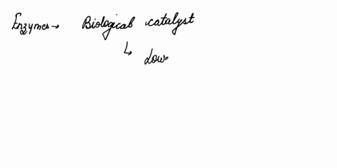 what-is-action-potential-and-its-function-78182