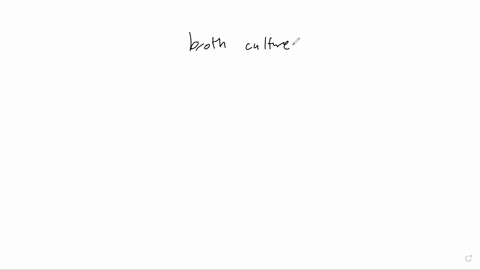 1-of-1-unknown-bacteria-subculture-euch-unknown-on-bhia-snt-macconkey-agar-plate-lrotin-macconkcy-gur-plte-cnuwn-grun-fositit-e-cocci-gram-negutive-knd-cataluse-test-luctose-non-lermenter-ca-69848
