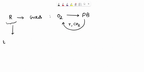 define-and-compare-the-processes-of-external-respiration-and-internal-respiration-84744