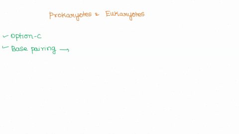 significant-difference-between-prokaryotes-and-eukaryotes-in-initiation-of-translation-is-that-in-prokaryotes-the-large-subunit-of-the-ribosome-binds-after-the-mrna-in-eukaryotes-the-large-s-33541
