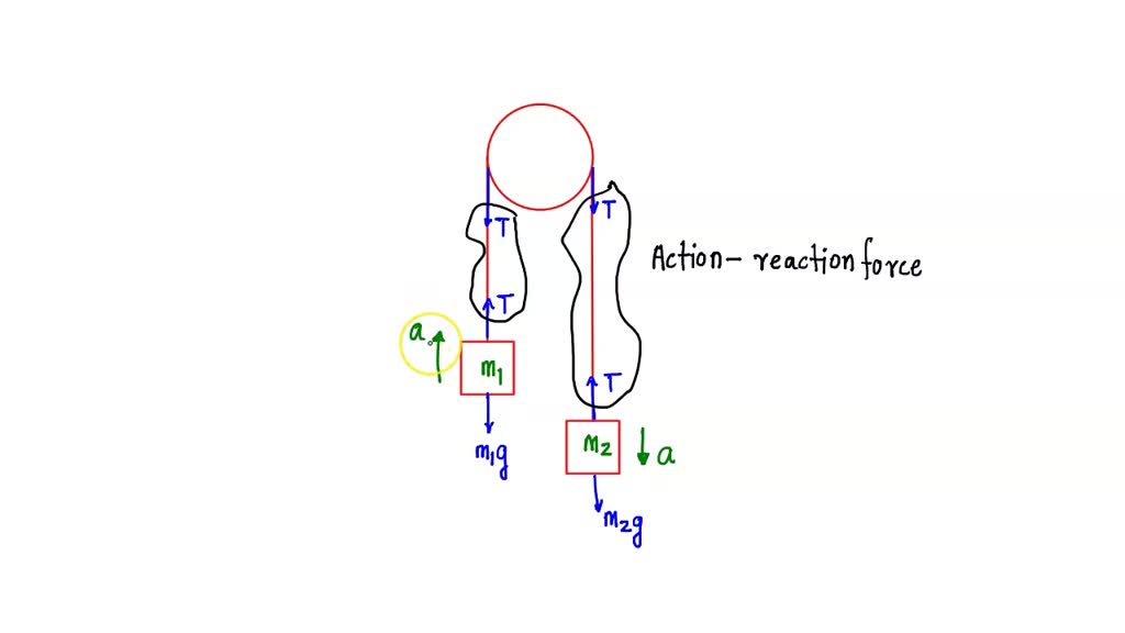SOLVED Simple Atwood machine (lab manual) Describe simple Atwood's