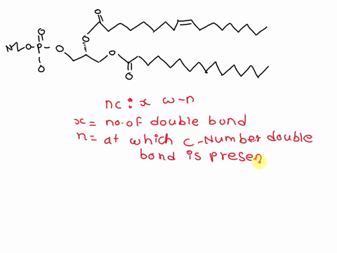what-is-the-name-the-unsaturated-fatty-acid-tail-of-the-lipid-with-the-following-structure-using-the-omega-nomenclature-19253