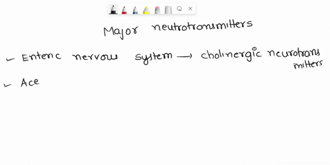what-are-the-two-major-neurotransmitters-of-the-enteric-nervous-system-multiple-choice-acetylcholine-and-epinephrine-norepinephrine-and-acetylcholine-a-epinephrine-and-norepinephrine-epineph-48172