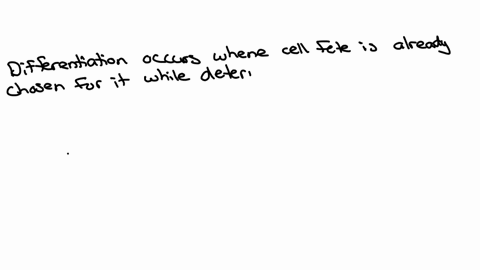 what-is-the-difference-between-determination-and-differentiation-determination-differentiation