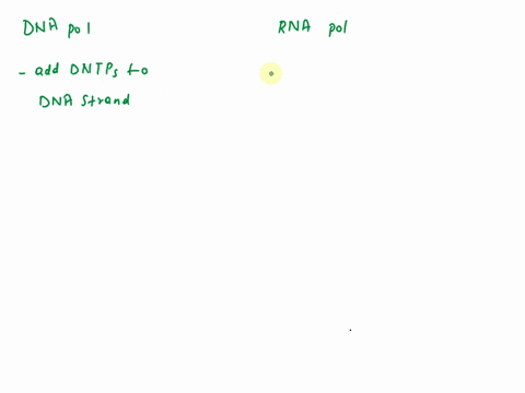 1-describe-the-differences-if-any-between-the-chemical-reactions-catalyzed-by-dna-polymerase-and-rna-polymerase-a-both-rna-and-dna-polymerases-can-add-nucleotides-to-an-existing-strand-exten-43175