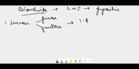 what-type-of-glycosidic-bonds-are-each-of-the-following-disaccharides-linked-by-sucrose-b-lactose-maltose-88645